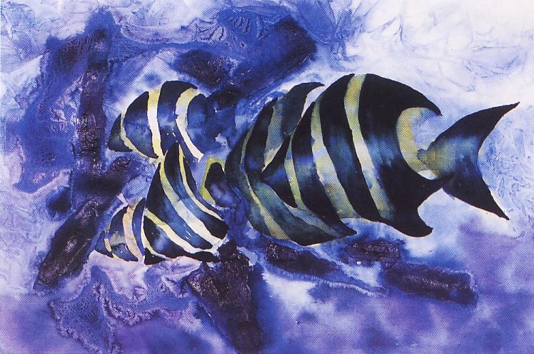 Fish and Kelp
